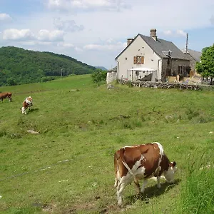 Chez Marraine Sauvat